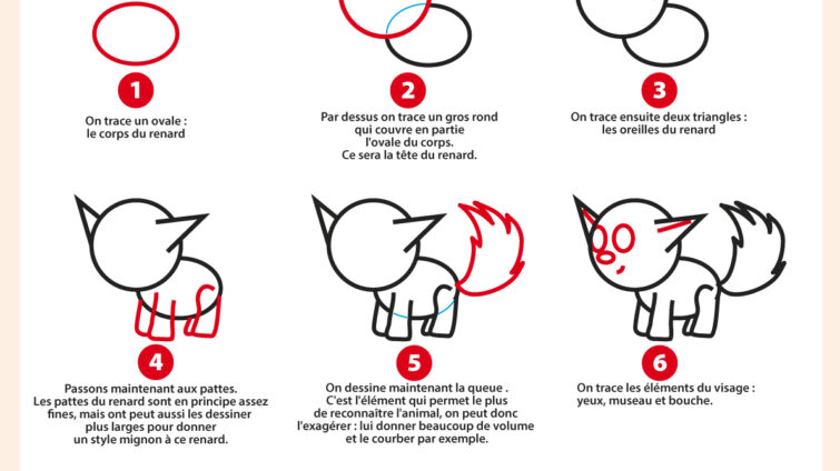 dessiner un renard