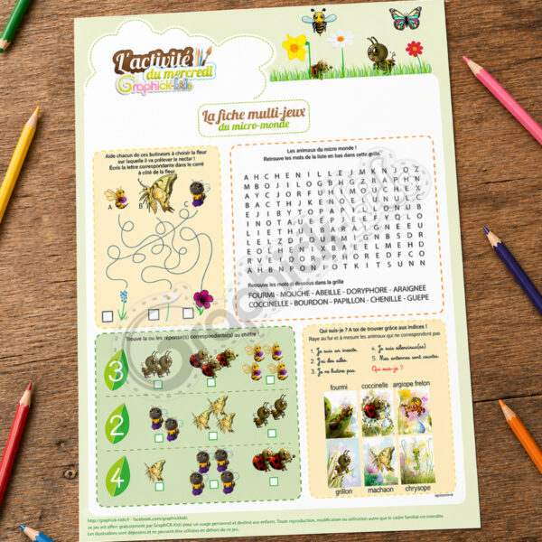 fiche multi-jeux du micro-monde