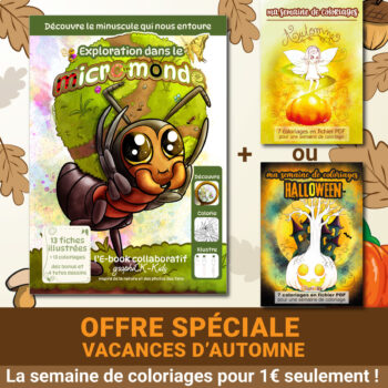 Pack Vacances d'Automne : E-book Micro-Monde + Coloriages au choix